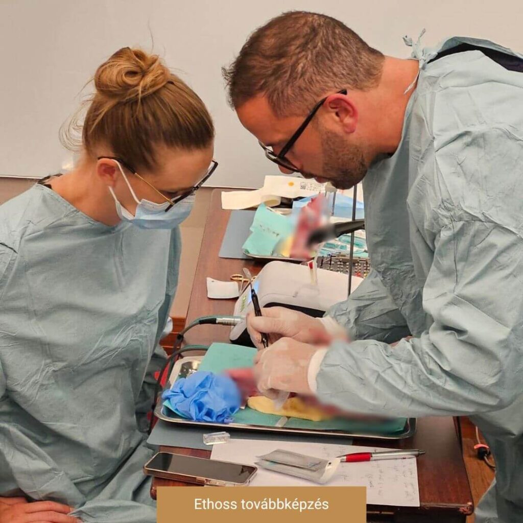 Dr. Halvax Dorottya - szakmai továbbképzések